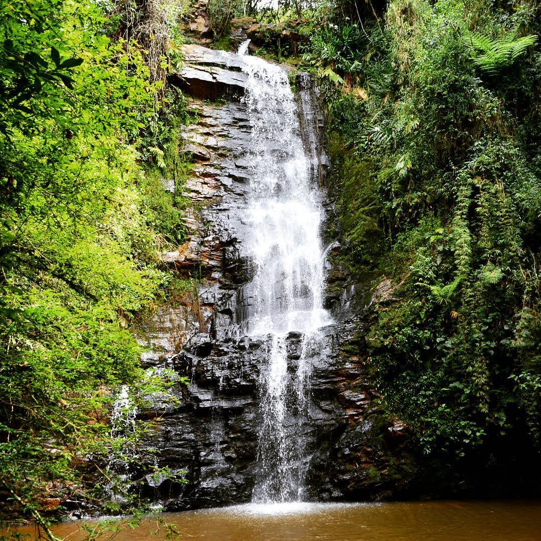 SÃO THOMÉ  MG